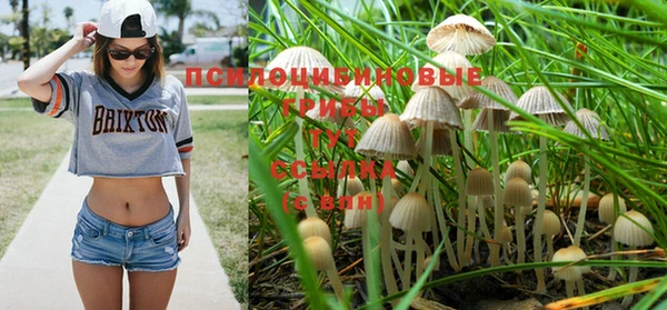 spice Армянск