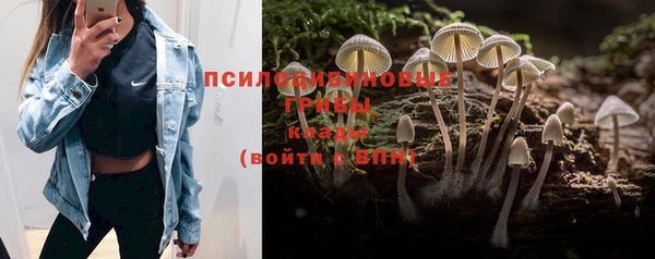 ALPHA PVP Арсеньев